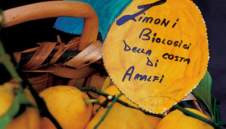 Wami-amalfi-coast-walking-10